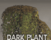Jm Dark Plant