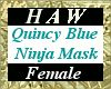 Quincy Blue Ninja Mask
