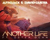 Afrojack&David Guetta