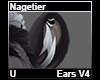Nagetier Ears V4