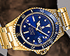 APE Gold & Blue Watch
