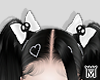 May🦴Skull Bows