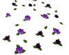 Purple Floating  Roses