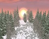 *Pink Sunset Snowy Woods