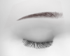 Black Eyebrows