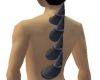 animated smoke spine