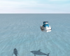 xN! Vincennes JetSki