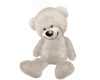 Teddy Bear with Pose