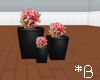 *B 3 Flowers w Vases