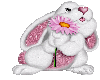 Pink & White Bunny