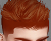 Tyro Ginger