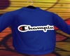 Blue Champion Sweater