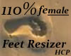 Foot Shoe Scaler 110%