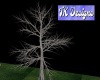 TK-HT Bare Tree 3