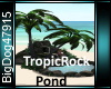 [BD]TropicRockPond