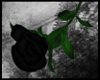 [xS9x] Rose - Black