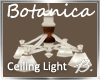 *B* Botanica Ceilg Light