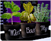M| SKyD Herbs