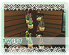[B2] ITW -Hanging Plants