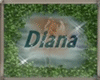 Diana5 Hazelnut