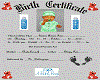 Savion Birth Certificate