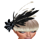 Daring In Black Feather