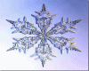 Snow Crystal  Decor (R)