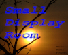 {BD} Small Display Room
