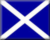 Scottish Flag/button 2