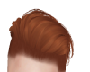 F. HAIR ginger