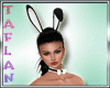 Bunny Outfit Sexy