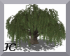 ~Animated Willow Tree