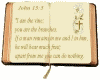 John 15:5 Bible