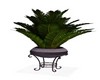 PLANTES VERTES + PURPLE