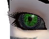  Eyes Green