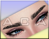 ♔ Natasya Eyebrows