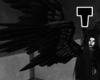 Dark Wings