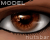 *n* model dark brown