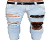 Jeans skull