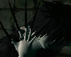Claws