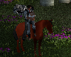Kissing Horse