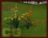 (CG) Park Flowers Exotic