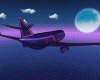 J~ Jexy Private Jet