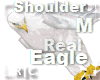 R|C  Eagle White M