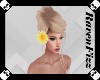 Yellow Hair Daisy R V2
