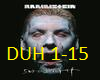 Du Hast English Verison