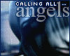 Calling all...Angels