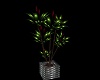Escapade plant 1