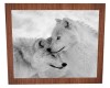 White Wolf Cuddling