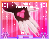 🌸; Amore Paws